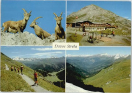 10544808 Davos GR Davos Berghaus Strelapass X Davos Platz - Sonstige & Ohne Zuordnung