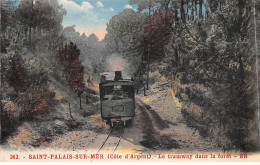 SAINT PALAIS SUR MER - Le Tramway Dans La Forêt - Très Bon état - Saint-Palais-sur-Mer