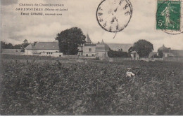 SAVENNIERES : Les Vignes Du Chateau De Chamboureau Vers 1910 (Emile GIRARD, Propriétaire) - Très Bon état - Sonstige & Ohne Zuordnung