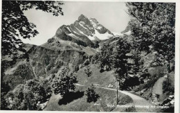 10544733 Braunwald GL Braunwald  X Braunwald - Sonstige & Ohne Zuordnung