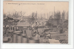 Usine D'ANTOIGNE - Près De SAINTE JAMME (Maison Chappée) - Vue Générale - Très Bon état - Andere & Zonder Classificatie