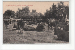 BOUCHES DU RHONE - PROVENCE - La Manade Pouly Au MAS D'ICARD, CAMARGUE - Très Bon état - Otros & Sin Clasificación