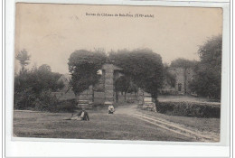 Ruines Du Château De Bois-Frou (XVIème Siècle) - Très Bon état - Other & Unclassified