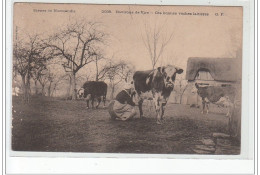 Environs De VIRE - Ces Bonnes Vaches Laitières - état (éraflures) - Autres & Non Classés