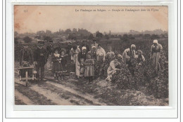 SOLOGNE : Les Vendanges En Sologne, Groupe De Vendangeurs Dans Les Vignes - état - Autres & Non Classés