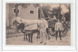 LUCHON : Attelage De Boeufs - Tres Bon Etat - Luchon