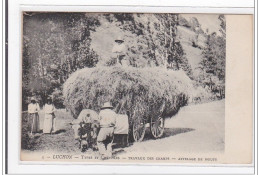 LUCHON : Types Et Costumes, Travaux Des Champs, Attelage De Boeufs - Tres Bon Etat - Luchon