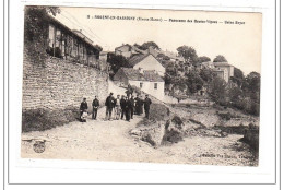 NOGENT-en-BASSIGNY : Panorama Des Hautes-vigues - Tres Bon état - Nogent-en-Bassigny