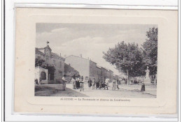 ALZONNE : La Promenade Et Avenue De Castelnaudary - Tres Bon Etat - Andere & Zonder Classificatie