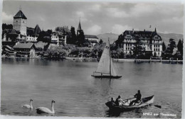 10544666 Spiez BE Spiez Thunersee X Spiez - Autres & Non Classés