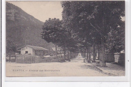 NANTUA : Avenue Des Marronniers - Tres Bon Etat - Non Classés