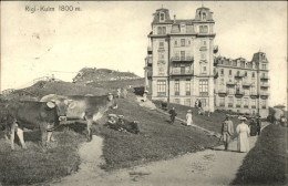 10544467 Rigi Kulm Rigi Kulm  X Rigi Kulm - Autres & Non Classés