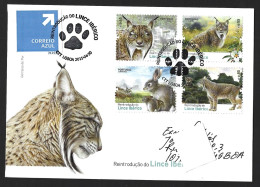 Iberian Lynx. Lynx Pardinus. Liberne, Deer Wolf, Ghost Cat, Deer Cat And Lynx Cat. Feline. Angry Rabbit. Oryctolagus - Other & Unclassified