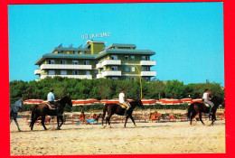 ITALIA - Abruzzo - Cartolina Non Viaggiata - Mosciano S. Angelo (Teramo) - Fattoria Cerreto - Centro Ippico - Andere & Zonder Classificatie