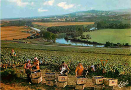 Vignes - Vendanges En Champagne - Au Dessus Des Méandres De La Marne - Au Fond Epernay - Vendanges - Raisins - Vin - CPM - Wijnbouw