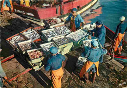 Metiers - Peche - Pecheur - Bretagne - Retour De Peche Sur La Côte Bretonne - CPM - Voir Scans Recto-Verso - Fishing