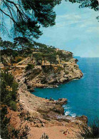 83 - Toulon - Le Cap Brun - Etat Pli Visible - CPM - Voir Scans Recto-Verso - Toulon