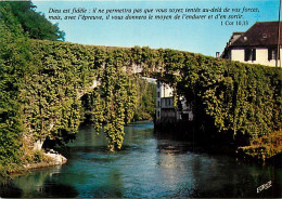 64 - Bétharram - Le Vieux Pont Sur Le Gave De Pau - Carte Neuve - CPM - Voir Scans Recto-Verso - Sonstige & Ohne Zuordnung