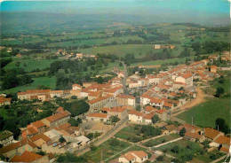 42 - Neulise - Vue Générale Aérienne - CPM - Etat Léger Pli Visible - Voir Scans Recto-Verso - Sonstige & Ohne Zuordnung