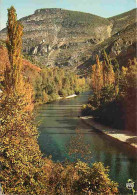 48 - Les Gorges Du Tarn - Paysage D'Automne Dans Les Gorges. Le Tarn Dominé Par Les Ruines Du Château De Castelos - Flam - Gorges Du Tarn