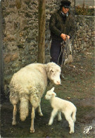 Animaux - Moutons - Prestige Bretagne - Berger - CPM - Voir Scans Recto-Verso - Altri & Non Classificati