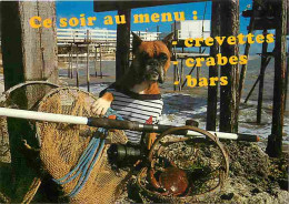 Animaux - Chiens - Boxer - Carte Humoristique - Carte Neuve - CPM - Voir Scans Recto-Verso - Dogs