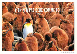 Animaux - Oiseaux - Pingouins - Carte Humoristique - Flamme Postale - CPM - Voir Scans Recto-Verso - Birds