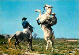 Animaux - Chevaux - Camargue - Gardians - Voir Scans Recto Verso  - Paarden