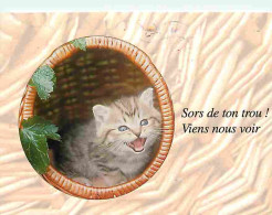 Animaux - Chats - Carte Humoristique - CPM - Voir Scans Recto-Verso - Katten