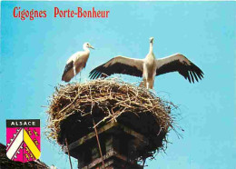 Animaux - Oiseaux - Cigognes - CPM - Voir Scans Recto-Verso - Birds