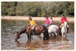 Animaux - Chevaux - CPM - Voir Scans Recto-Verso - Paarden