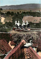 Animaux - Oiseaux - Cigognes D'Alsace - CPM - Voir Scans Recto-Verso - Birds