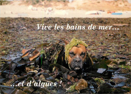 Chiens - CPM - Voir Scans Recto-Verso - Honden