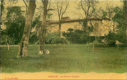 30.LASALLE.AU CHATEAU D'ALGUES.CP TOILEE.RARE - Autres & Non Classés