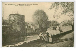 29.QUIMPERLE.VUE SUR L'ELLE.LE CHEMIN DU MIN-GUEN ANCIEN PIGEONNIER DE L'ABBAYE - Quimperlé