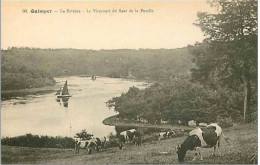 29.QUIMPER.LA RIVIERE.LE VIRECOURT DU SAUT DE LA PUCELLE - Quimper