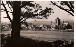 29.LOCRONAN.VUE GENERALE.CPSM. - Locronan