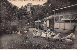 37 . N°52798 . CHAMBOURG. Elevage Du Chateau De Chavigny . Pas Courante - Otros & Sin Clasificación