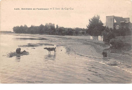 29 . N°52768. Environ De FOUESNANT. L'Anse Du Cap Coz - Sonstige & Ohne Zuordnung