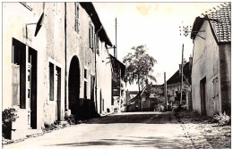 39 . N° 44545 . Saint Lothain.la Grande Rue. Vue Generale . Cpsm 14 X 9 Cm. - Other & Unclassified