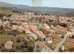 39 .n° 204502.arinthod.vue Générale.redécoupé. Cpsm - 15 X 10.5 Cm. - Sonstige & Ohne Zuordnung