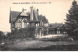 37 - St Avertin - SAN21695 - Château De Sainte Hélène - Près De Tours - Saint-Avertin