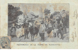 29 - Plougastel- SAN21631 - Phénomènes De La Ferme - Plougastel-Daoulas