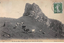 39 - Salins Du Jura - SAN20482 - Un Pic Du Mont Poupet - Otros & Sin Clasificación