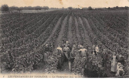 37 - N°75341 - Les Vendanges En Touraine - Les Vendangeurs Dans Un Vignoble - Agriculture - Other & Unclassified