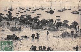 35 - CANCALE - SAN25311 - Triage Des Huîtres - Cancale