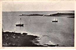 29 - LILIA EN PLOUGUERNEAU - SAN28831 - St Cava - L'Ile Wrac'k Et Le Phare - CPSM 14X9 Cm - Sonstige & Ohne Zuordnung