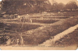 33 - AUDENGE - SAN34413 - Une Partie Des Réservoirs à Sangsues De La Maison A. Bouchaud, De Bordeaux - En L'état - Other & Unclassified