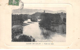 31 - SALIES DU SALAT - SAN42300 -- Vallée Du Salat - Salies-du-Salat