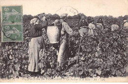 33 - BORDEAUX - SAN33112 - Scènes De Vendanges - Un Porteur Et Sa Hotte - Agriculture - Métier - Vigne - Pli - Bordeaux